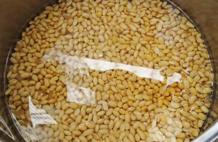 Cách Nấu Sữa Đậu Nành Không Bỏ Xác: Giữ Trọn Dưỡng Chất, Thơm Ngon Đậm Đà