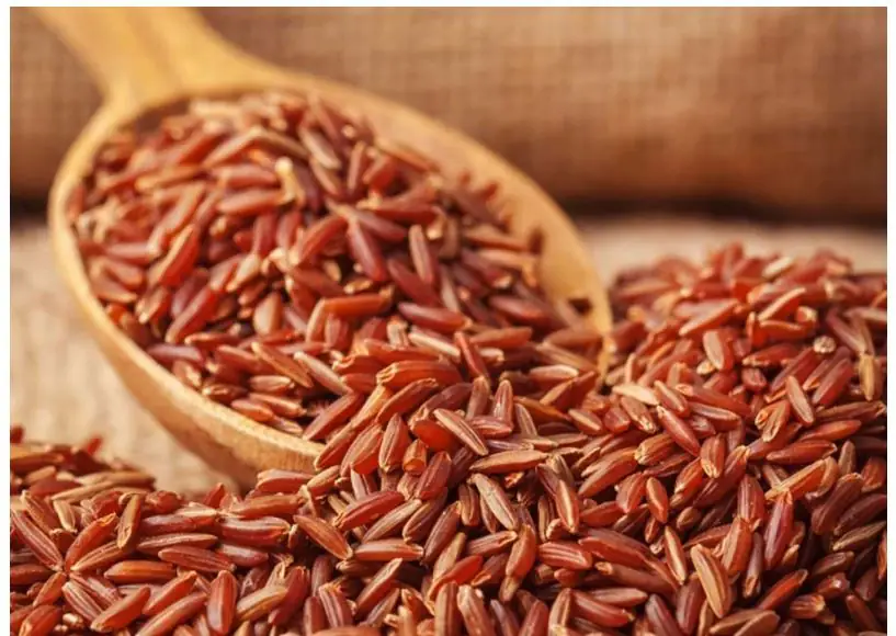 cách nấu sữa gạo lứt cách nấu sữa gạo lứt