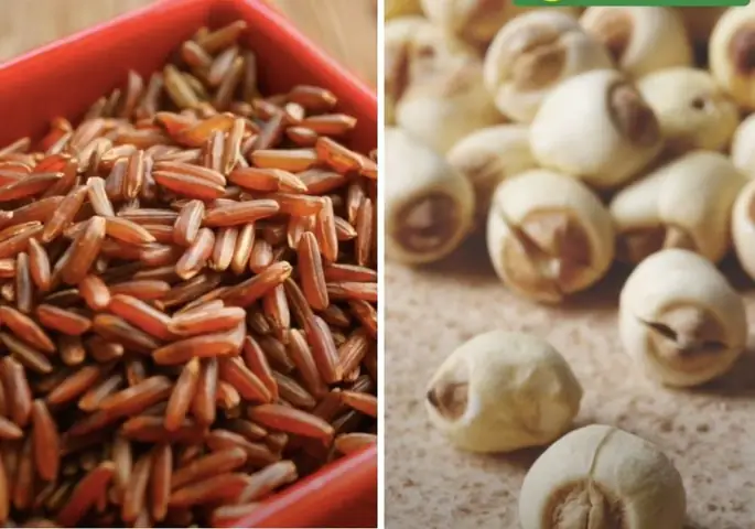 Chuẩn bị nguyên liệu và dụng cụ