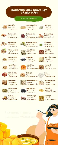 Cách Nấu Sữa Hạt Sachi: Công Thức Đơn Giản Tại Nhà