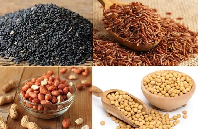 Hướng Dẫn Chi Tiết Cách Nấu Sữa Ngũ Cốc Chuẩn Vị Tại Nhà Hướng Dẫn Chi Tiết Cách Nấu Sữa Ngũ Cốc Chuẩn Vị Tại Nhà