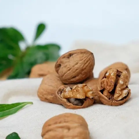 Cách Nấu Sữa Óc Chó Với Sữa Tươi Thơm Ngon Bổ Dưỡng Tại Nhà