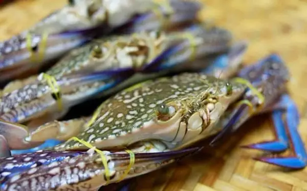 Cách Nấu Súp Cua Ghẹ Thơm Ngon, Đậm Đà Chuẩn Vị