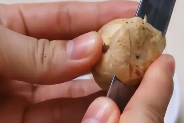 Bước 6: Sơ chế nấm