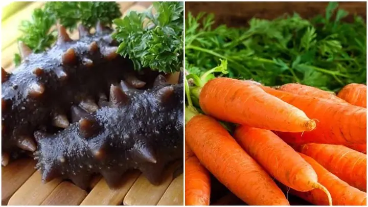 Chi Tiết Cách Nấu Súp Hải Sâm Cung Đình Đậm Đà, Bổ Dưỡng