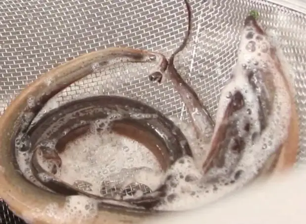 Cách Nấu Súp Lươn Xứ Nghệ Ngon: Công Thức Chi Tiết Tại Nhà