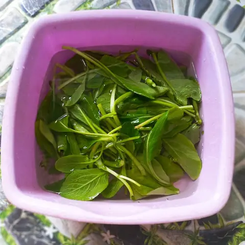 Hướng Dẫn Chi Tiết Cách Nấu Tép Tươi Ngon Chuẩn Vị Gia Đình