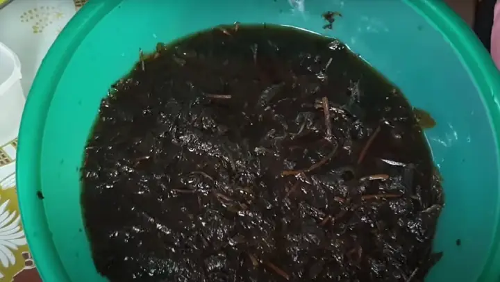 cách nấu thạch đen cao bằng