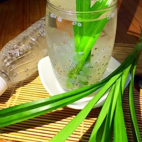 Nha đam đường phèn hạt chia Nha đam đường phèn hạt chia