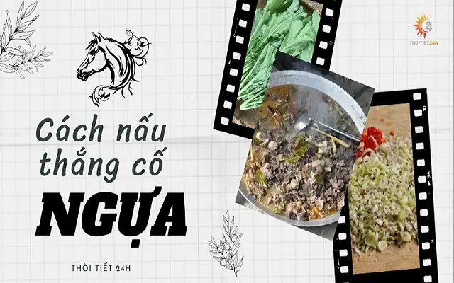 cách nấu thắng cố ngựa
