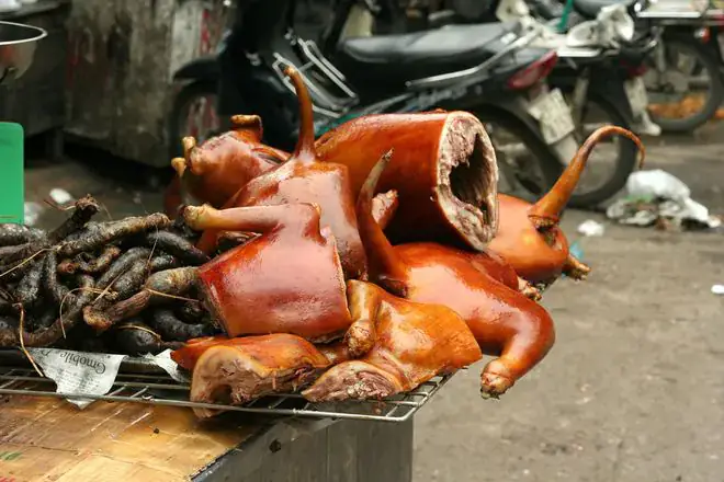 Bà bầu có được ăn thịt chó không?