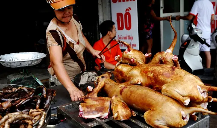 Cách Nấu Thịt Chó Kiểu Hàn Quốc Chuẩn Vị Tại Nhà