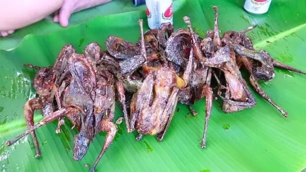 Làm Thế Nào Để Nấu Thịt Cò Xào Sả Ớt Thơm Ngon Hấp Dẫn? Làm Thế Nào Để Nấu Thịt Cò Xào Sả Ớt Thơm Ngon Hấp Dẫn?