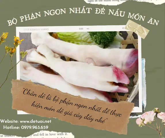 Cách Nấu Thịt Dê Giả Cầy Thơm Ngon Chuẩn Vị Tại Nhà Cách Nấu Thịt Dê Giả Cầy Thơm Ngon Chuẩn Vị Tại Nhà