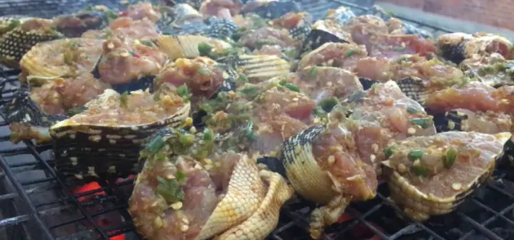 Cách Nấu Thịt Kỳ Đà Ngon Hấp Dẫn Với Những Công Thức Độc Đáo Cách Nấu Thịt Kỳ Đà Ngon Hấp Dẫn Với Những Công Thức Độc Đáo