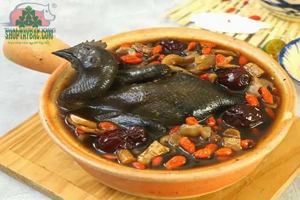 Công dụng tuyệt vời của món gà đen hầm thuốc bắc Công dụng tuyệt vời của món gà đen hầm thuốc bắc