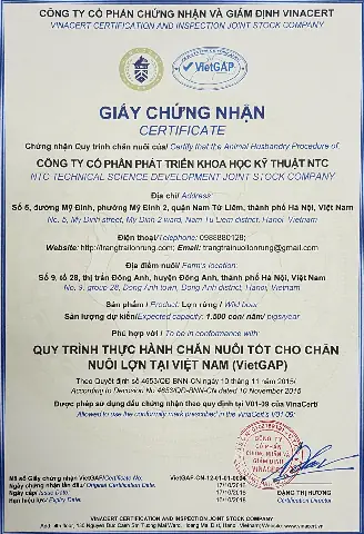 Cách Nấu Thịt Lợn Rừng Xào Sả Ớt Chuẩn Vị, Thơm Ngon Đậm Đà