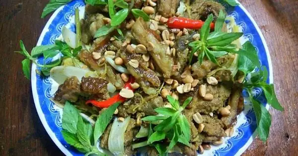 Cách Nấu Thịt Nhím Ngon: Hướng Dẫn Chi Tiết Từ A Đến Z Cách Nấu Thịt Nhím Ngon: Hướng Dẫn Chi Tiết Từ A Đến Z