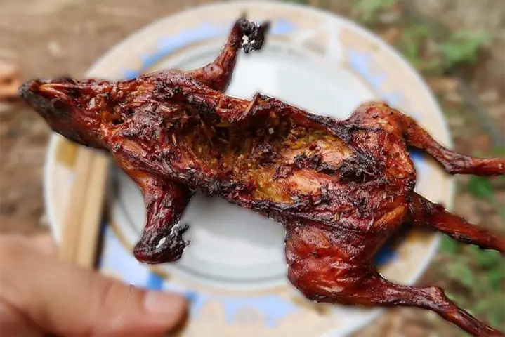 Làm sao để nấu thịt sóc giả cầy chuẩn vị và hấp dẫn? Làm sao để nấu thịt sóc giả cầy chuẩn vị và hấp dẫn?