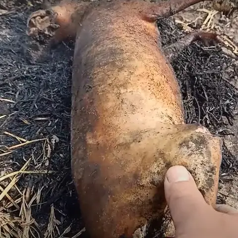 Cách Nấu Thịt Thỏ Rượu Mận Ngon Đậm Đà Chuẩn Vị Tại Nhà