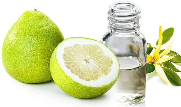 1. Công dụng của tinh dầu bưởi