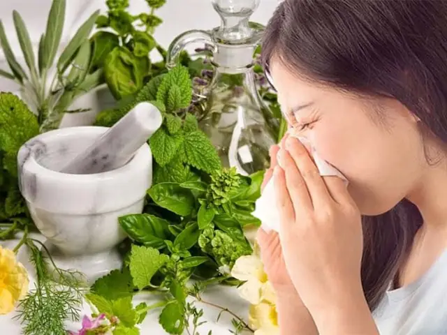 Hướng Dẫn Chi Tiết Cách Nấu Tinh Dầu Cỏ Hôi