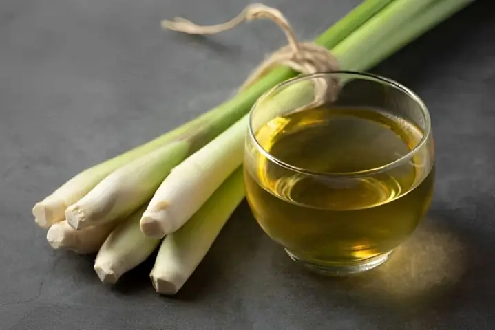 Hướng Dẫn Chi Tiết Cách Nấu Tinh Dầu Tại Nhà An Toàn Và Hiệu Quả Hướng Dẫn Chi Tiết Cách Nấu Tinh Dầu Tại Nhà An Toàn Và Hiệu Quả
