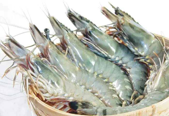 Tổng Hợp Các Cách Nấu **Tôm Biển Ngon** Chuẩn Vị Gia Đình