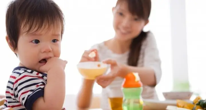 Tổng Hợp Các Cách Nấu **Tôm Biển Ngon** Chuẩn Vị Gia Đình