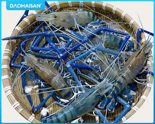 Lẩu tôm càng xanh cần chuẩn bị nguyên liệu gì?