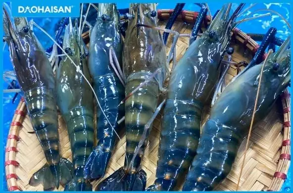 Cách Nấu Tôm Càng Xanh Ngon, Chuẩn Vị, Dễ Làm Tại Nhà