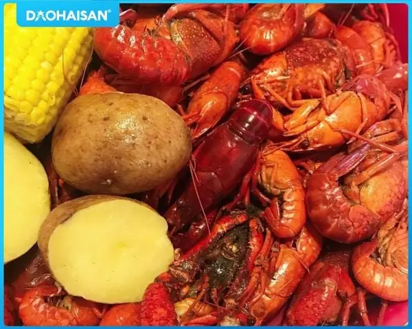 Cách Nấu Tôm Hùm Đất Crawfish Chuẩn Vị Louisiana Tại Gia
