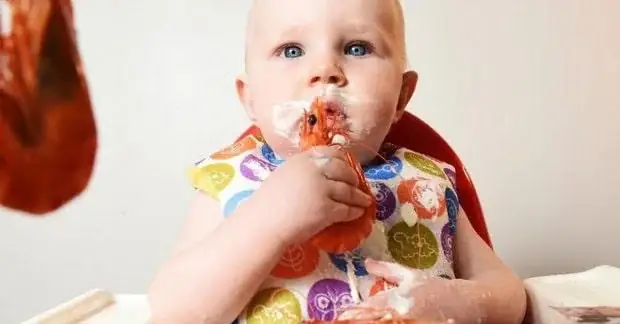 Hướng Dẫn Cách Nấu Tôm Ngon Cho Bé Chuẩn Dinh Dưỡng Hướng Dẫn Cách Nấu Tôm Ngon Cho Bé Chuẩn Dinh Dưỡng