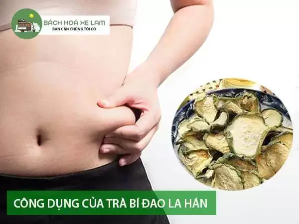 cách nấu trà bí đao với la hán quả