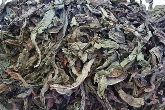 Giai đoạn 1: Thu hái, sơ chế thành trà