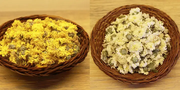 Đặc tính của trà hoa cúc