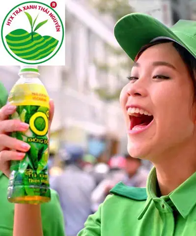 Hướng dẫn cách nấu trà xanh Không Độ tại nhà chuẩn vị