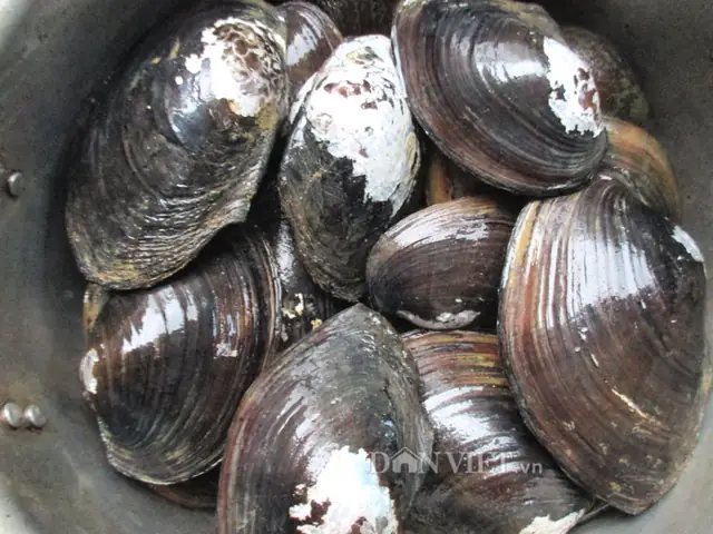 Cách Nấu Trai Với Chuối Xanh: Công Thức Chuẩn Vị Gia Đình