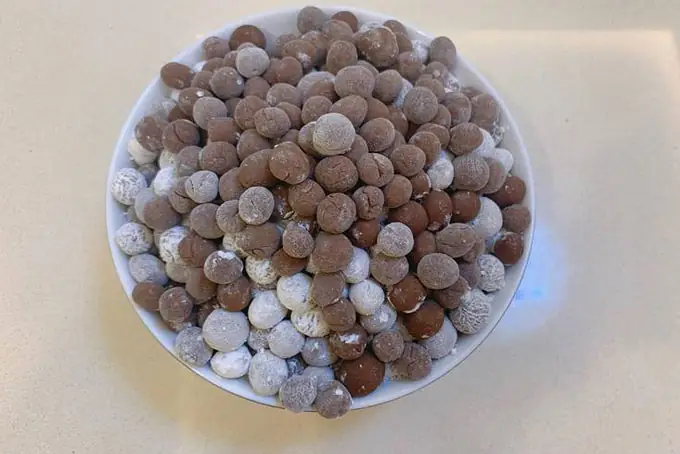 Hướng Dẫn Chi Tiết Cách Nấu Trân Châu Bằng Nồi Cơm Điện Tại Nhà