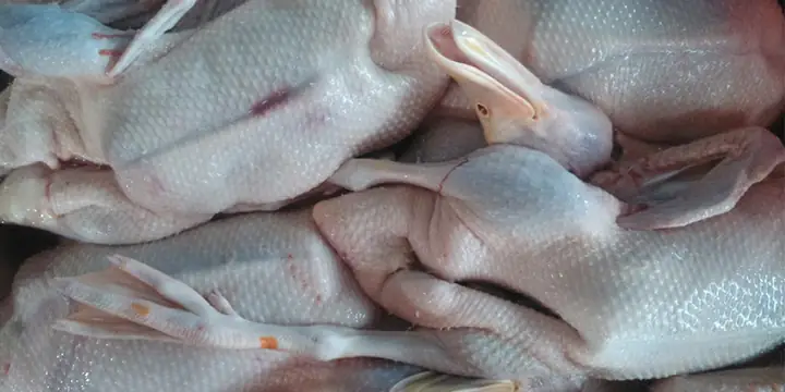 Hướng Dẫn Chi Tiết Cách Nấu Vịt Không Hôi, Thơm Ngon Chuẩn Vị Hướng Dẫn Chi Tiết Cách Nấu Vịt Không Hôi, Thơm Ngon Chuẩn Vị