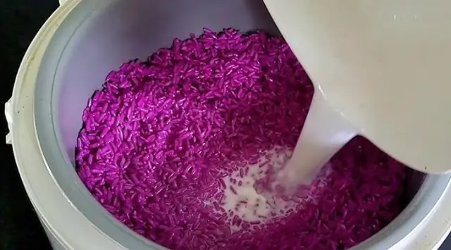 Hướng Dẫn Chi Tiết Cách Nấu Xôi Bằng Nồi Cơm Điện Tử Toshiba