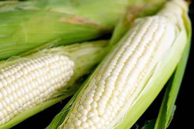 Cách Nấu Xôi Bắp Bào Dẻo Thơm Chuẩn Vị Tại Nhà Đơn Giản Cách Nấu Xôi Bắp Bào Dẻo Thơm Chuẩn Vị Tại Nhà Đơn Giản