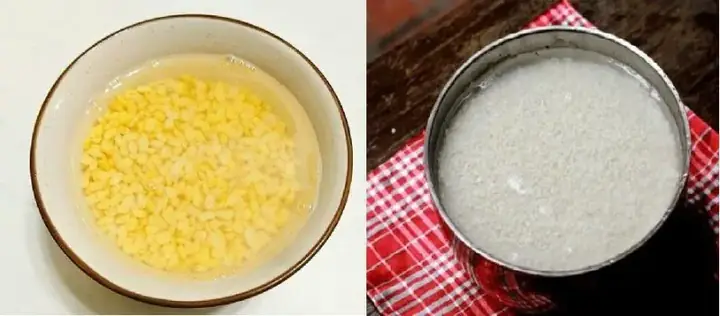 Ngâm đậu xanh và nếp để thổi xôi