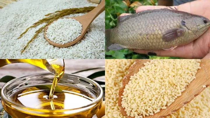 Hướng Dẫn Cách Nấu Xôi Cá Rô Đồng Đậm Đà, Hấp Dẫn Chuẩn Vị Gia Đình