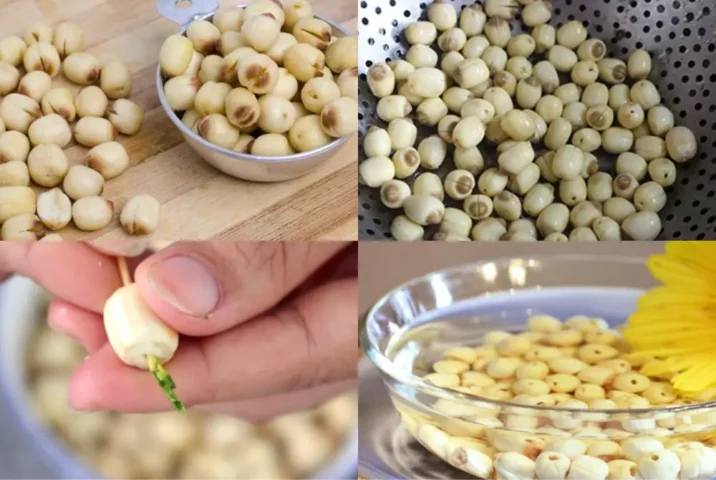 cách nấu xôi cốm khô cách nấu xôi cốm khô