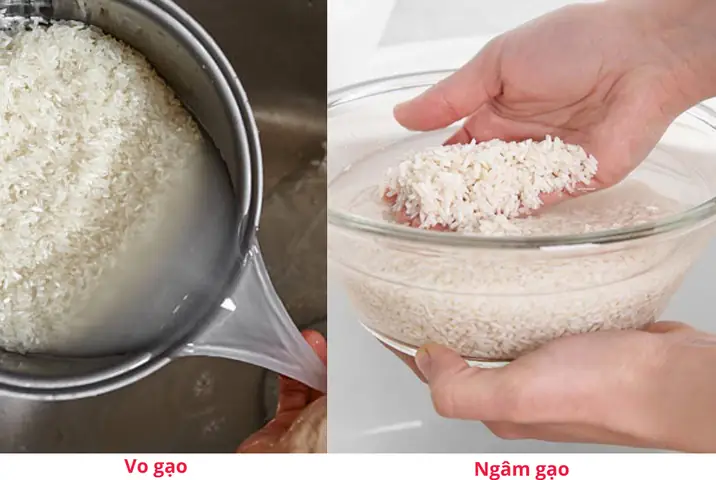 3.2. Ngâm gạo 3.2. Ngâm gạo