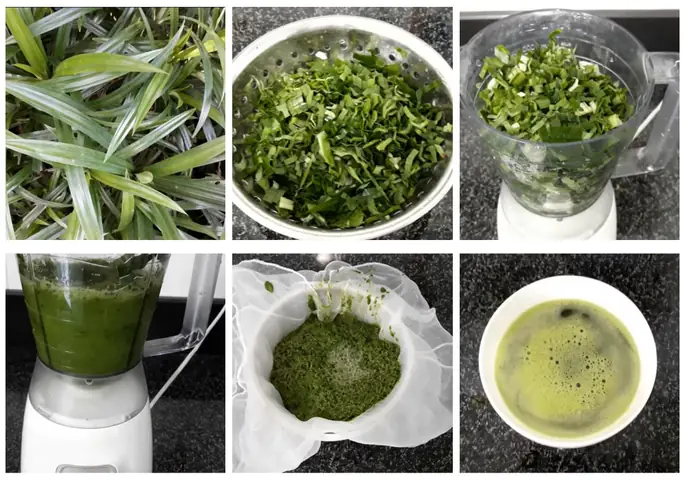 Cách Nấu Xôi Đậu Phộng Lá Dứa Thơm Ngon Chuẩn Vị Tại Nhà