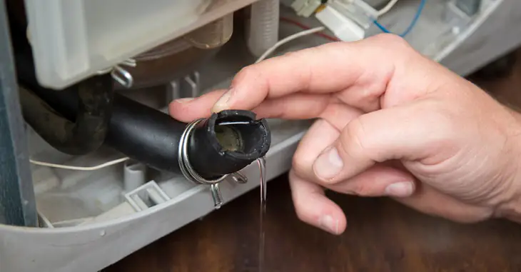 cách nấu xôi đỗ xanh cách nấu xôi đỗ xanh