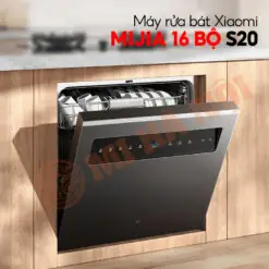 cách nấu xôi đỗ xanh cách nấu xôi đỗ xanh