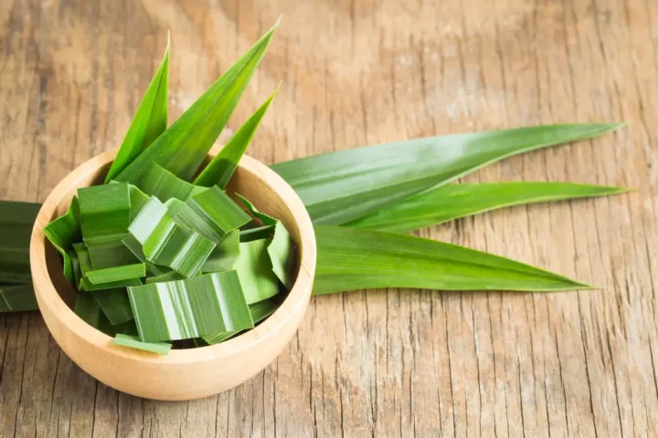 cách nấu xôi gấc bằng nồi cơm điện cách nấu xôi gấc bằng nồi cơm điện